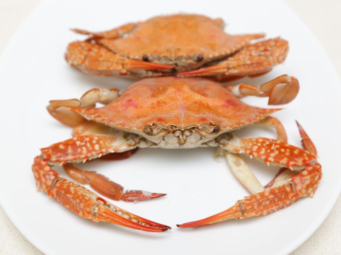 How to Cook a Crab Filipino Style A Delicious Seafood Recipe