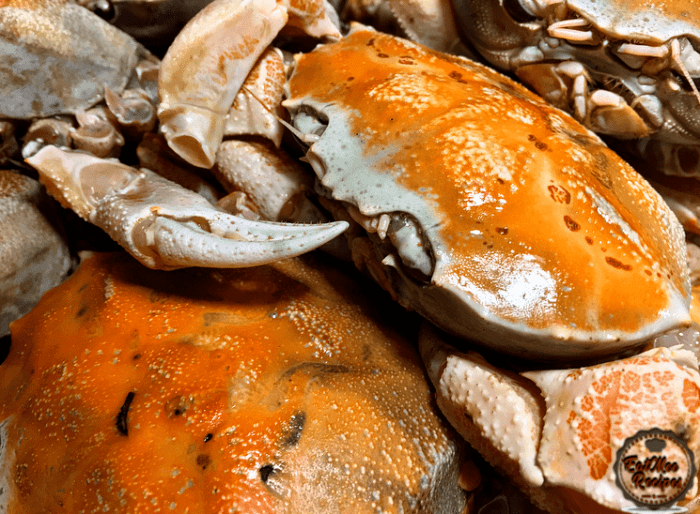 African south curry crab